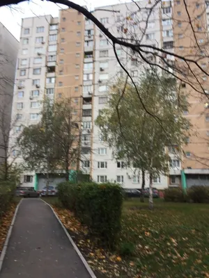 Хотите увидеть, как выглядит самая маленькая квартира России? (5 фото) »  Триникси