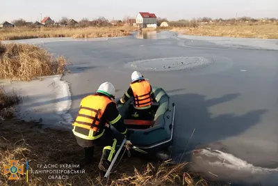 Коттеджный поселок в Самаре в сосновому лесу: охрана, сервис, коммуникации.