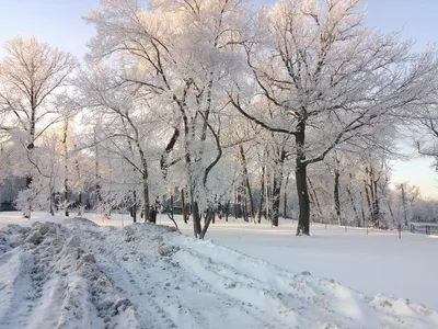 Зима пришла и в наш город! Самара. | Пикабу