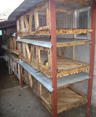 C700 сборные клетки для кроликов Домашние животные Домашние кролики  антижевательный коврик домашние кровати гнезда для маленьких животных  домашние искусственные | AliExpress