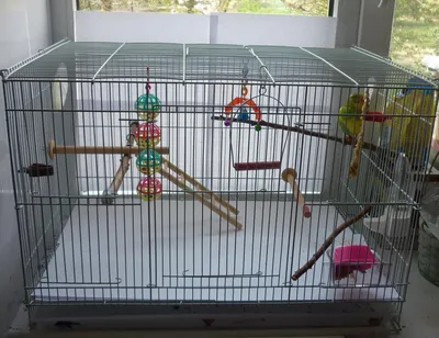 Делаем клетку вольер для попугаев (не отличишь от заводской). How to make  your own bird cage. - YouTube