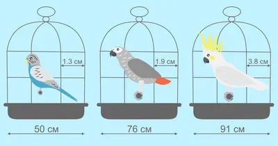 3 шт. клетка для попугая игрушка белка хомяк гамак белки Птичье гнездо  качели | Игрушки для птиц, Клетка попугая, Хомяк