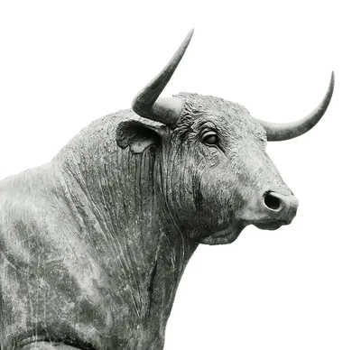 Большой бык | Премиум Фото