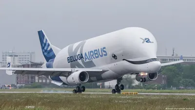 Airbus Beluga ST. Грузовой самолет, который притягивает взгляды | Aviators  | Дзен