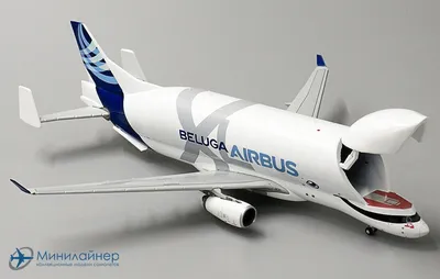 Airbus построит самую большую Beluga XL