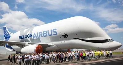 Купить 534284-001 Самолет Airbus INDUSTRIES BELUGA XL (A330-700L) 1:500 за  5 500 руб. в интернет-магазине ЕвроМодель