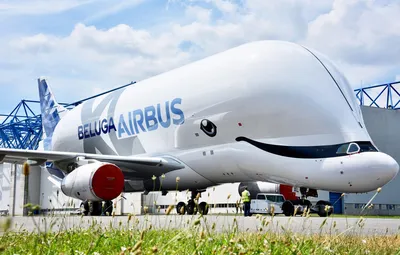 Airbus Beluga Xl — стоковые фотографии и другие картинки Грузовой самолёт -  Грузовой самолёт, Самолёт, Негабаритный - iStock