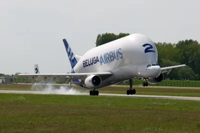 Воздушный кит\" в небе: как выглядит новый грузовой самолет Airbus Beluga XL  - 24 Канал