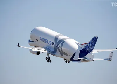 Airbus Beluga — вычурный самолет, который возит другие самолеты (вертолеты,  картины) - Tchk.lv