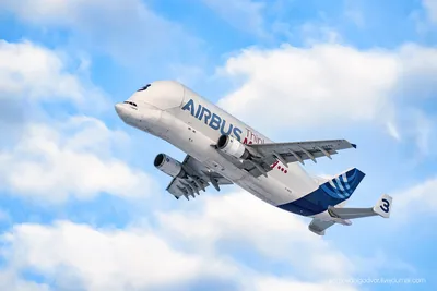 Грузовой самолёт Airbus Beluga сделал остановку в аэропорту Толмачево | РИА  Новости Медиабанк