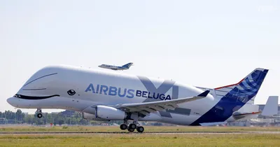 Визит Airbus Beluga в Новосибирск