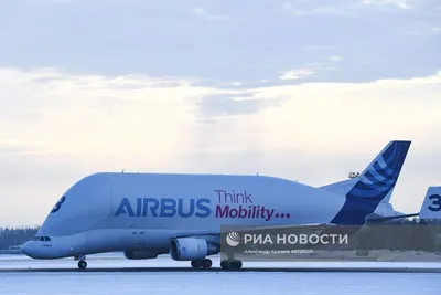 Кит в небе: грузовой самолет Beluga XL впервые поднялся в воздух — Мир