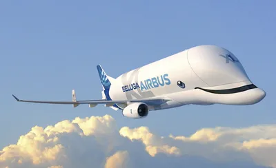 Грузовой самолёт Airbus Beluga сделал остановку в аэропорту Толмачево | РИА  Новости Медиабанк