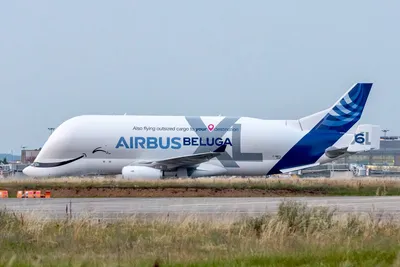 На спутниковом фото заметили гигантский самолет Airbus Beluga - Hi-Tech  Mail.ru