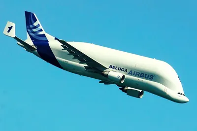 Год назад Airbus Beluga впервые посетил Бразилию - Aeroflap