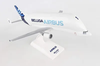 Airbus выкатил последний грузовой самолет сверхбольшой вместимости Beluga  XL | ОТ ВИНТА