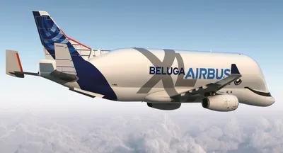 Beluga Airbus