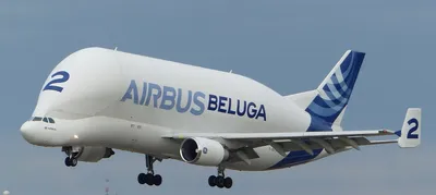 Airbus создает новую авиакомпанию Airbus Beluga Transport