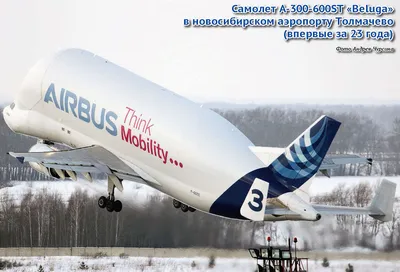 Скачать обои самолет, самолёт, Грузовой, Airbus, Beluga, A300, Airbus  Beluga, Super Transporter, раздел авиация в разрешении 3200x1800