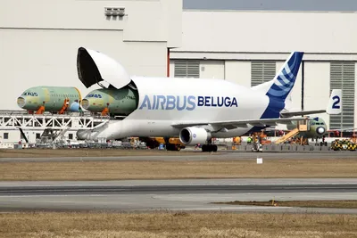 Самолет Airbus Beluga (A300-600ST \"Белуга\") | Техкульт