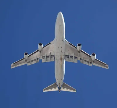 Фотообои Вид на самолет снизу 2256 купить в Украине | Интернет-магазин  Walldeco.ua