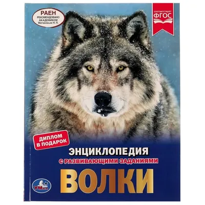 Полярный волк — Википедия