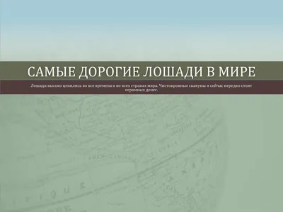 Жастар» Конно-спортивный комплекс | Барнаул | 🐴Мотивация лошади к общению  с человеком | Facebook