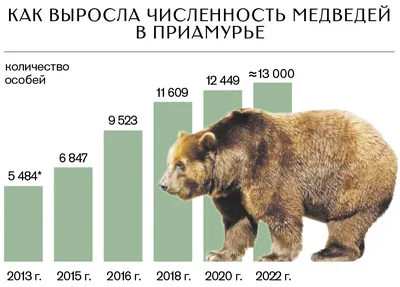 Arctos Ursus Бурый медведь самый большой хищник в Европе Стоковое Фото -  изображение насчитывающей северный, европейско: 107370924