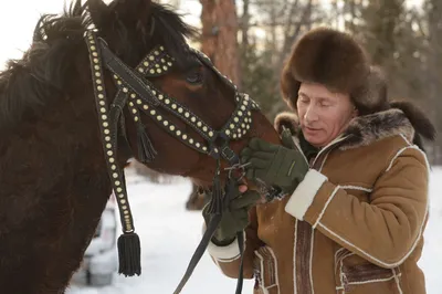 В Кыргызстане после игры кок-бору пал самый дорогой конь