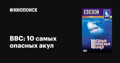 В каких морях и на каких курортах мира водятся акулы, убивающие туристов -  Hi-News.ru