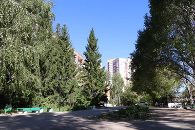 10 Лучших санаториев в Самарской области: Отзывы и цены на Tripadvisor