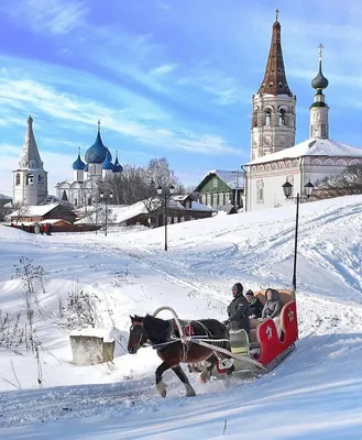 Катание на санях, аренда саней - конно-спортивный клуб ЗОЛОТАЯ ГРИВА (КСК  ЗОЛОТАЯ ГРИВА)