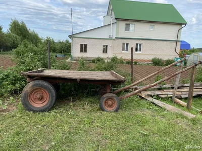 лошадь, запряжённая в русские сани ждет хозяина в зимний морозный день  фотография Stock | Adobe Stock