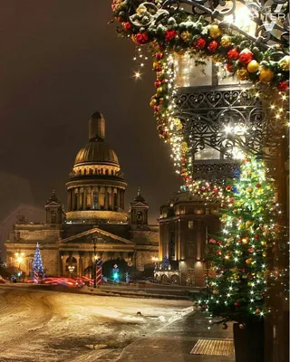Новогодний Петербург | Зимние картинки, Рождественские изображения,  Рождественские пейзажи
