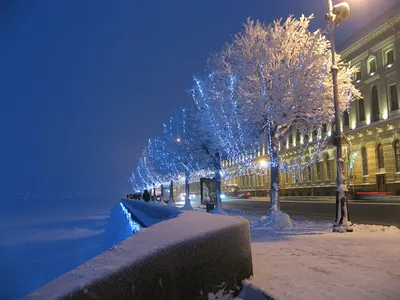 Новогодний Санкт-Петербург - Александрия - Туристическая  компанияАлександрия – Туристическая компания
