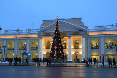 Новогодняя елка 2014 в Санкт-Петербурге - обои для рабочего стола,  картинки, фото