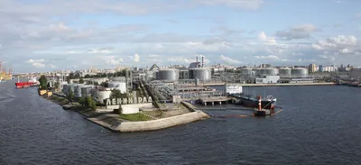 Большой порт Санкт-Петербург — Википедия