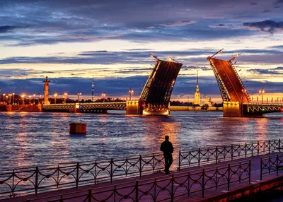 Ночная водная экскурсия по Санкт-Петербургу на разведение мостов: 🗓  расписание, ₽ цены, купить 🎟 билеты онлайн
