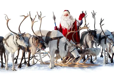 Санта с оленями иллюстрация вектора. иллюстрации насчитывающей шарж -  35004383