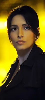 https://www.instagram.com/sarahshahi/