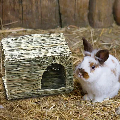 Домик для кроликов Ferplast 10037333 купить в интернет-магазине Wildberries