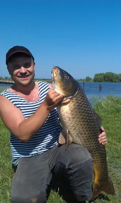 Сазан 14 кг - Рыболовные трофеи с фото