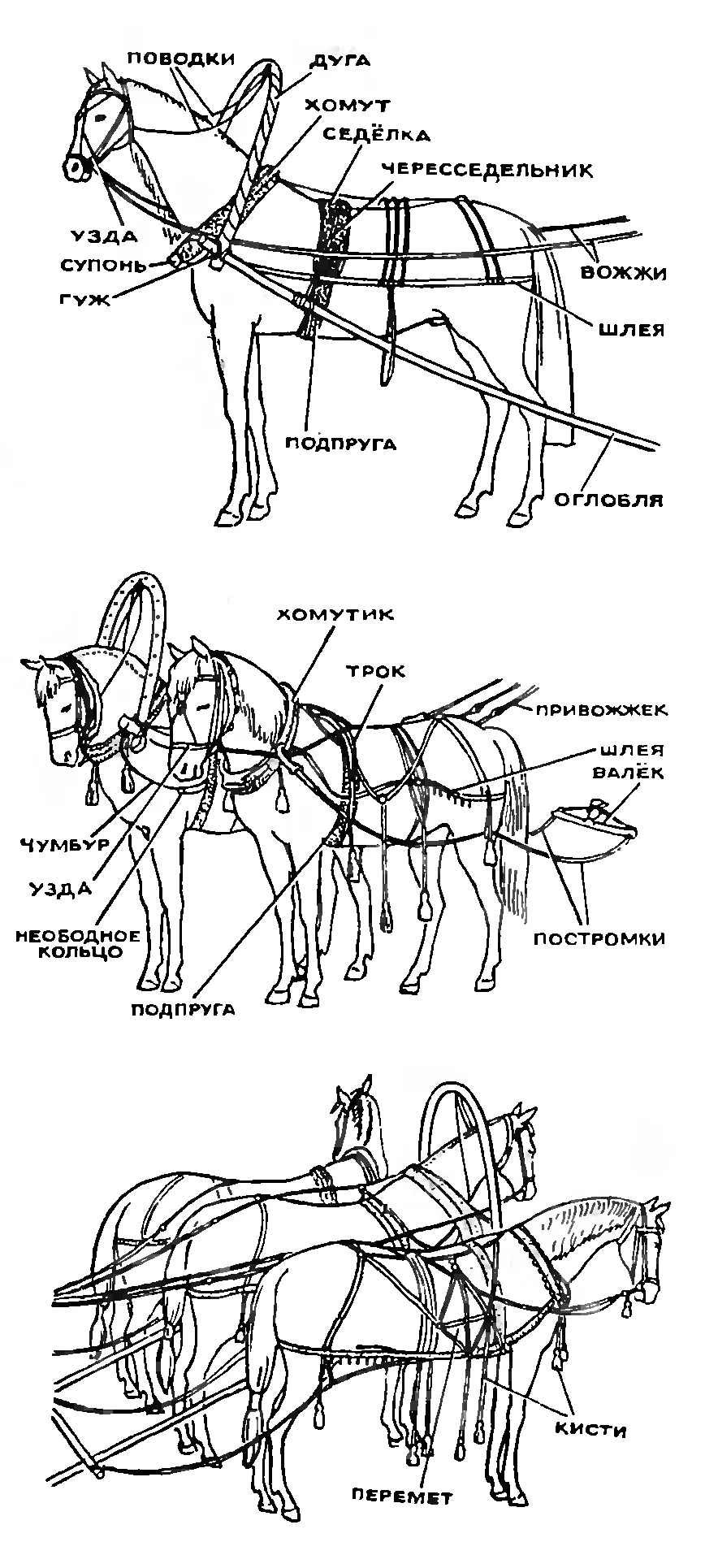 Лошадиные элементы