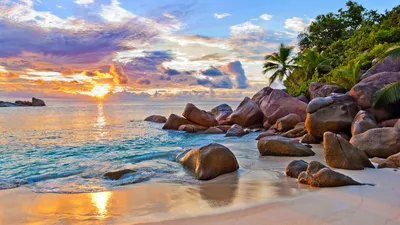 Картинка сейшелы, море, остров, тропики 1920x1080 скачать обои на рабочий  стол бесплатно, фото 248213