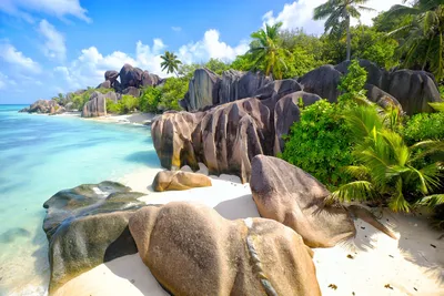 Туры на Сейшелы: настоящий райский отдых!