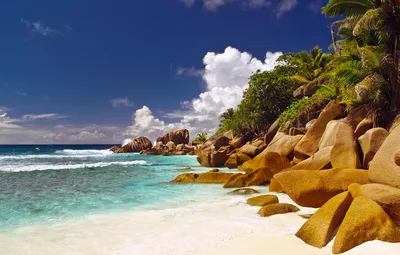 Обои море, пляж, небо, вода, острова, облака, пальмы, океан, скалы, Сейшелы  картинки на рабочий стол, раздел пейзажи - скачать