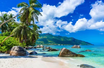 Сейшелы, Маэ: 8 пляжей с фото, отдых и цены на острове