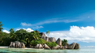 Картинки сейшелы, сейшельские острова, природа, океан, скалы, камни, вода,  джунгли, пальмы, пляж, небо, облака - обои 1920x1080, картинка №94481