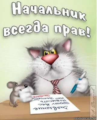 https://lubok.club/otkr/rabota/print:page,1,2963-otkrytki-muzhu-na-rabotu-80-foto.html