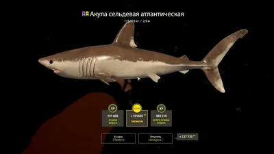 Фигурка Детское Время Animal Тигровая акула плывет Морская жизнь - цена,  фото, характеристики